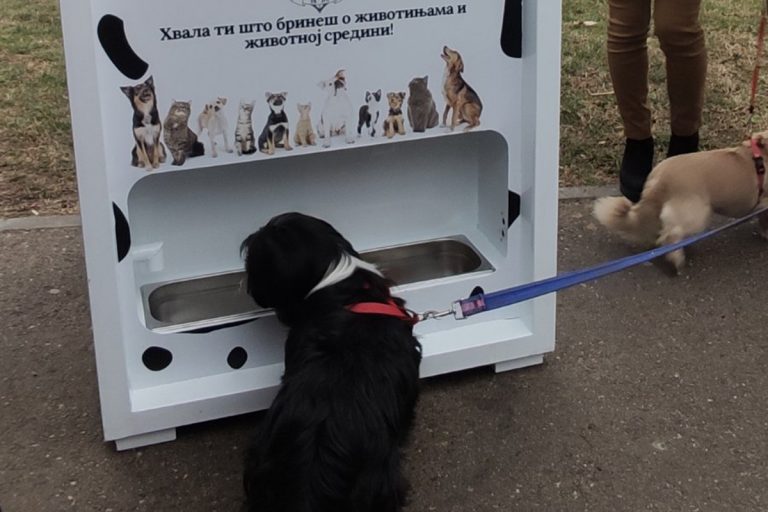 Automat sa hranom za pse lutalice postavljen na Starom gradu