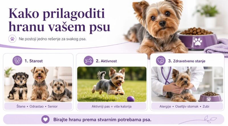 Prilagođavanje ishrane psa - infografik